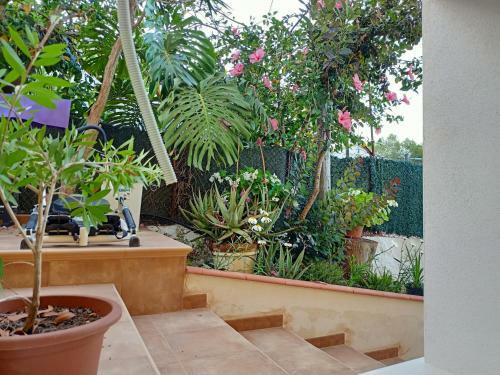 Apartment In Villa Falconera In Gandia