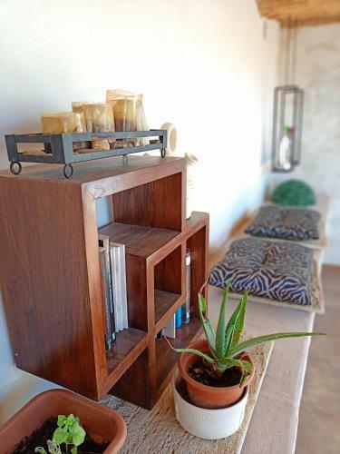 Apartment In Villa Falconera In Gandia