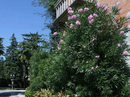 Villa Melina
