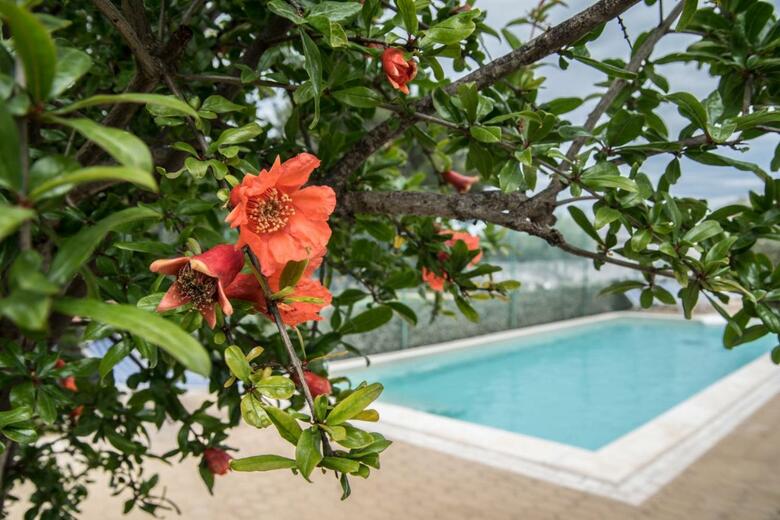 Hostal Villa Lara