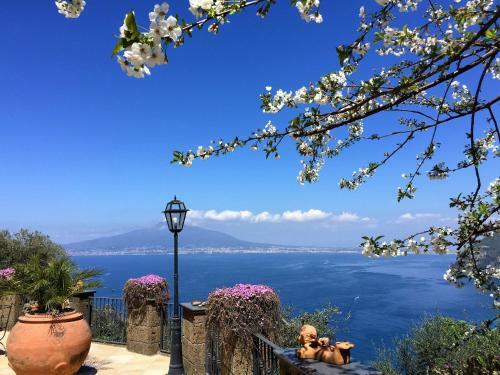 Bed & Breakfast Villa Denise