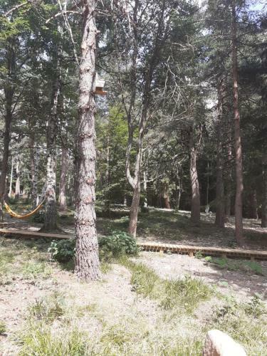 Chalet Cricri