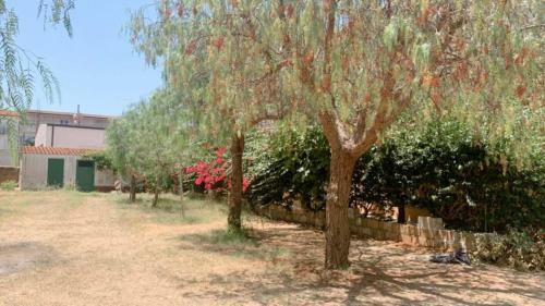 Le Castella Garden Apartment