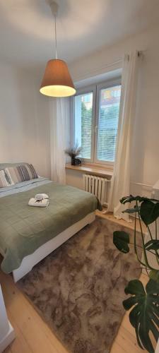 Apartament W Centrum Chopina 6
