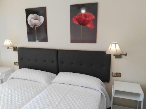 Apartamento Flamencos Del Cerrado