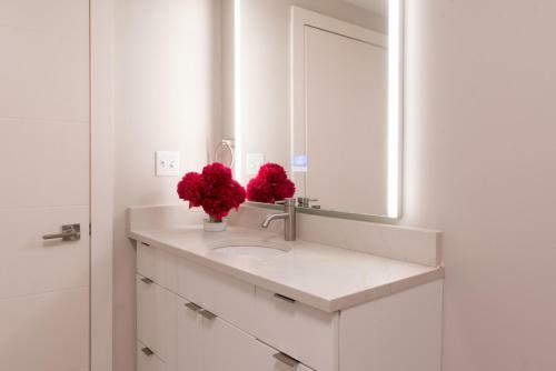 Apartamento Belhaven Heights Lofts By Barsala