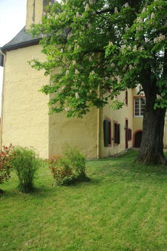 Apartamento Kapelle - Urlaub Auf Dem Weingut