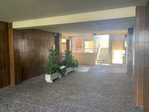 Apartamento Lima-limon