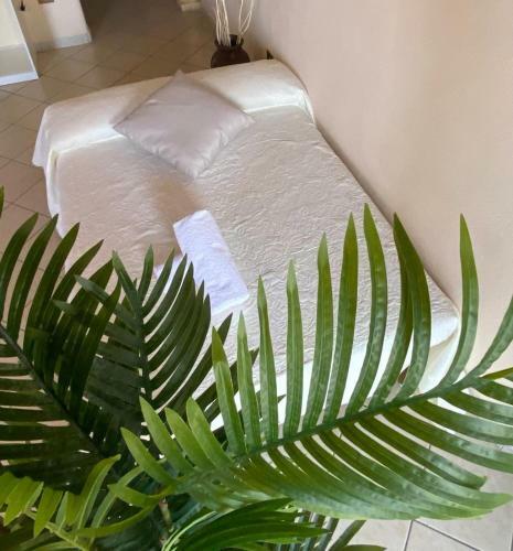 Bed & Breakfast Melissa Suites