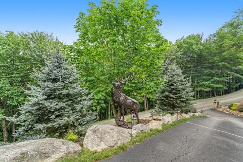 Moose Hill