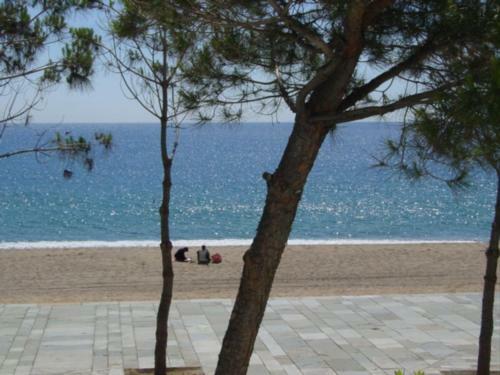 Apartamento Primera Linea De Mar