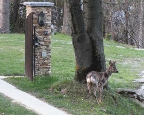 Bed & Breakfast Il Picco