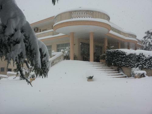 Hotel Punto Verde