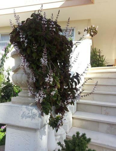 Hotel Punto Verde