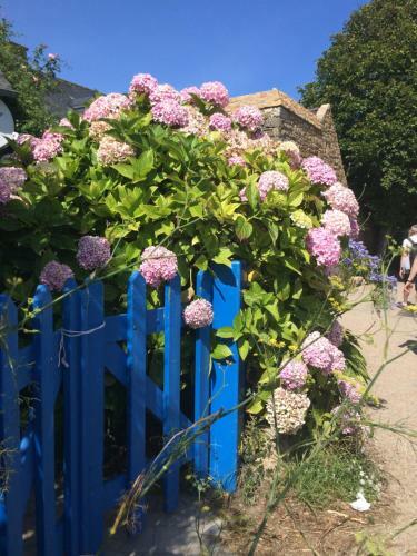 C�t� Baie