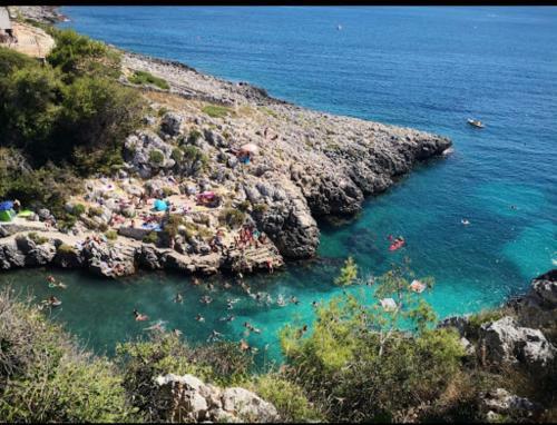 Casinaotto