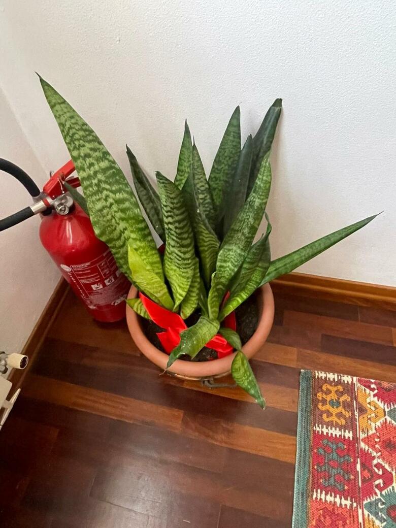 B&B La Chiocciola