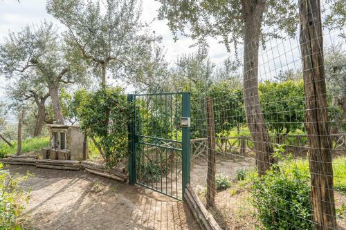 Matthew's - Seaview Apartment Sorrento Coast