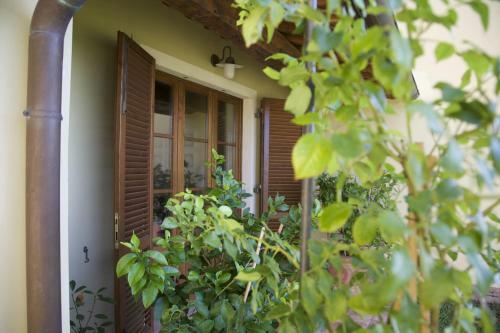 La Fonte Al Prete