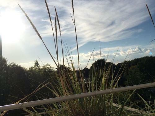 Apartamento Sonnenlounge