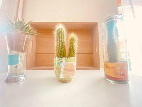 Apartamento Cocoon Familial