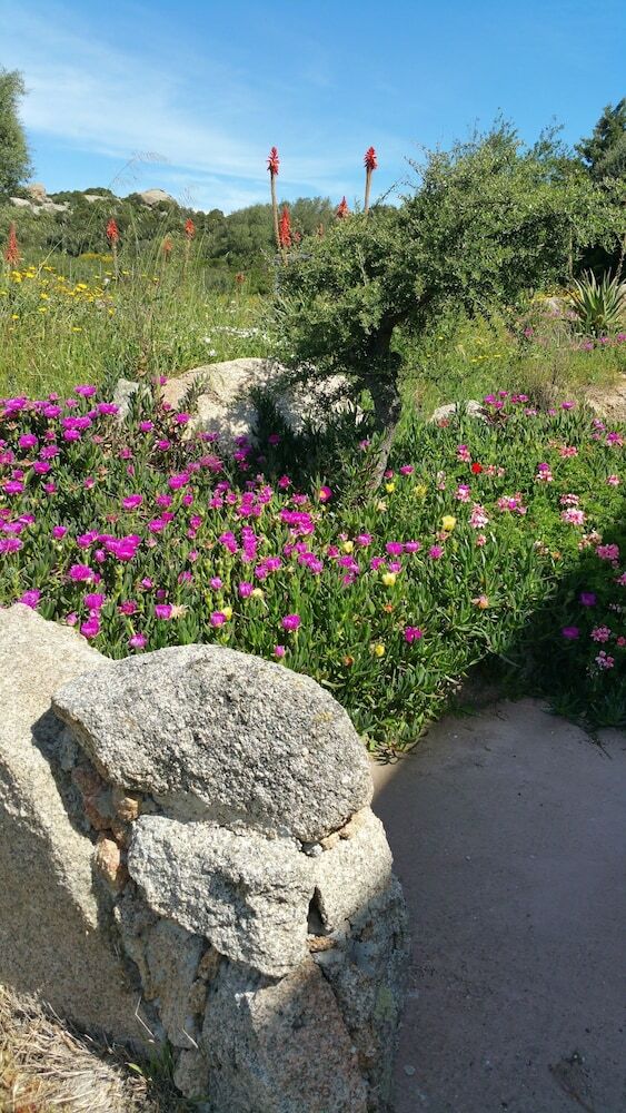 Apartamento Locanda Domus De Vida Turismo Rurale