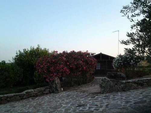 Agroturismo Agriturismo Su Recreu