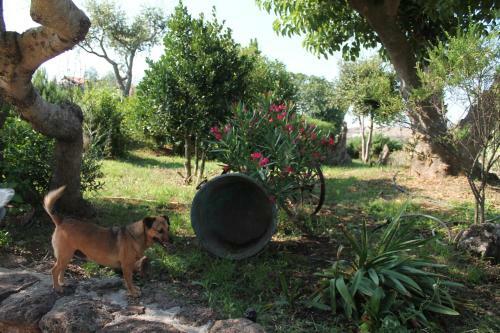 Agroturismo Agriturismo Su Recreu