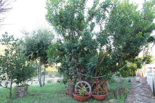 Agroturismo Agriturismo Su Recreu