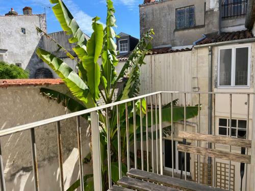 Apartamento L'escale