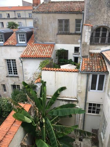 Apartamento L'escale