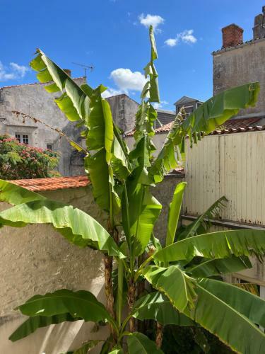 Apartamento L'escale