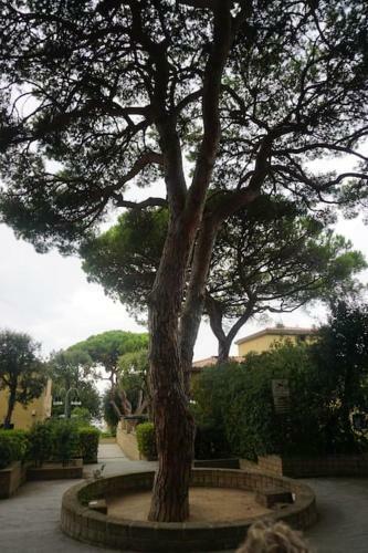 Apartamento Appartamento/ Residence I Boboli - Porto Punta Ala -