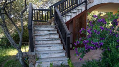 Apartamento La Rosa Dei Venti Apts
