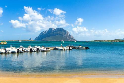 Apartamento Il Vecchio Faro A39 600mt From The Beach