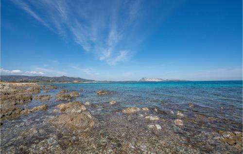 Apartamento Bilo 4