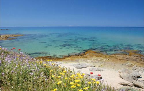 Trilo Beach