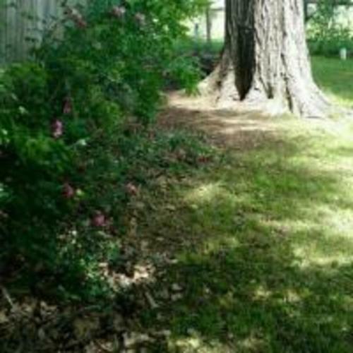 4 Bed Cowboy Home1 Mi Fort Sill- Weekly Rates!