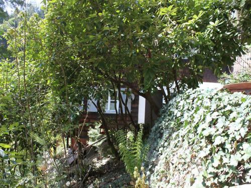 Apartamento Ferienhaus Lena