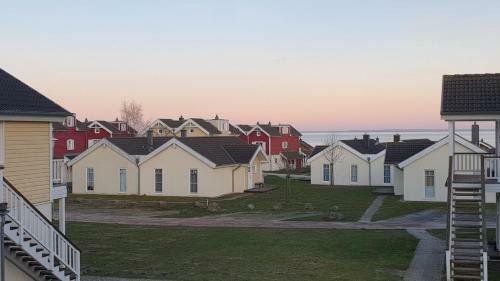 Iris Strandhus