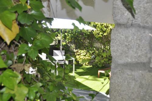 Lodge Espejo De Soledades