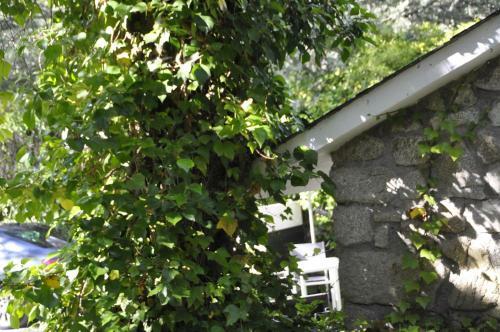 Lodge Espejo De Soledades