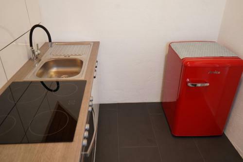 Ferienhaus - Riexinger 1