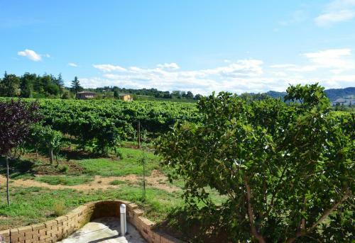 Agroturismo Le Stanze Di Bacco