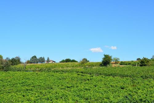 Agroturismo Le Stanze Di Bacco