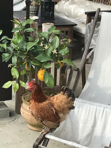 Bed & Breakfast Ostal 158