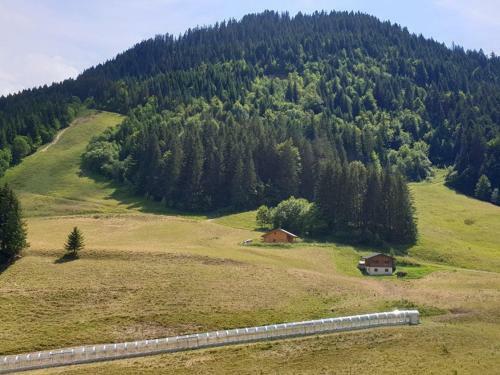 Apartamento Studio Le Biot, 1 Pi�ce, 4 Personnes - Fr-1-573-94