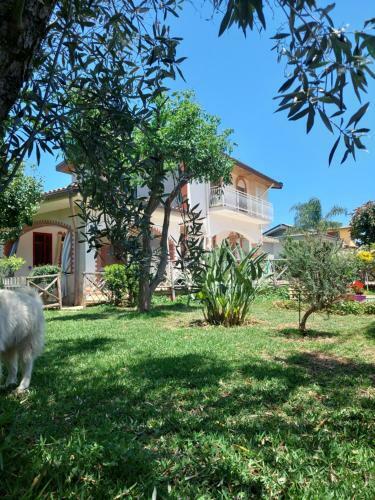 Hostal Villa Ettore
