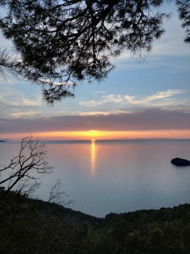 Hostal Villa Ettore
