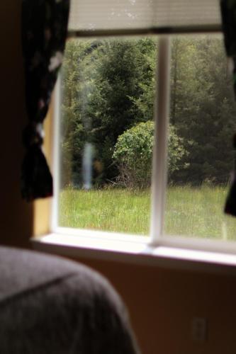 Fernwood Sanctuary: Relax W/ Weed, Wine, & Nature.
